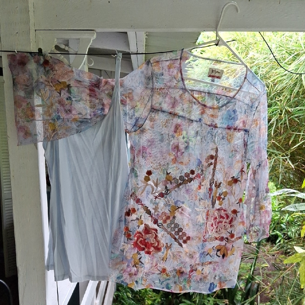 Johnny Was Multicolor Mesh Blouse With Cami